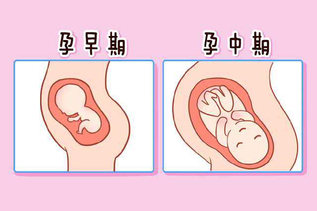 北京供卵试管婴儿私立最好的医院排名？
