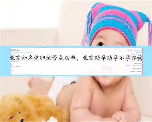 北京知名供卵试管成功率，北京助孕助孕不孕咨询
