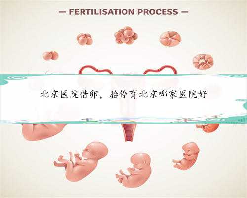 北京医院借卵，胎停育北京哪家医院好