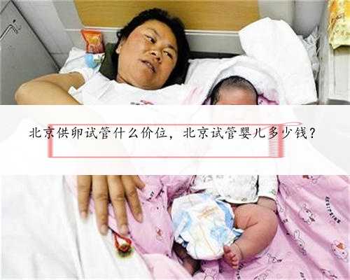 北京供卵试管什么价位，北京试管婴儿多少钱？