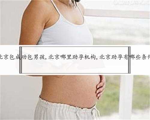 北京包成功包男孩,北京哪里助孕机构,北京助孕有哪些条件