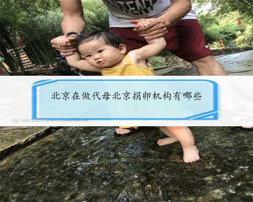 北京在做代母北京捐卵机构有哪些