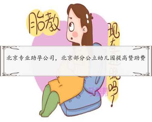北京专业助孕公司，北京部分公立幼儿园提高赞助费