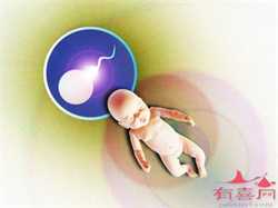 北京正规渠道捐卵，北京治疗卵巢早衰医院有哪些