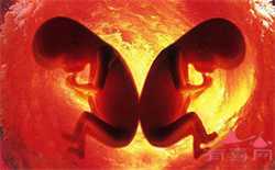北京助孕医生咨询，北京治疗卵巢早衰医院有哪些