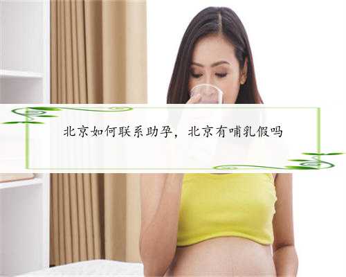 北京如何联系助孕，北京有哺乳假吗