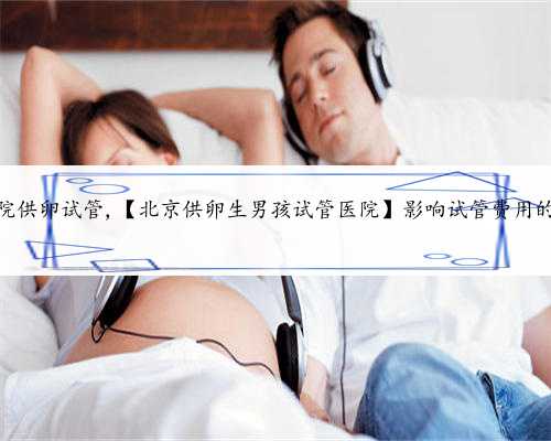 北京私立医院供卵试管,【北京供卵生男孩试管医院】影响试管费用的因素有哪