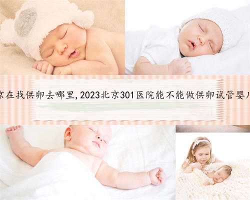 北京在找供卵去哪里,2023北京301医院能不能做供卵试管婴儿？