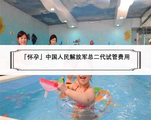 「怀孕」中国人民解放军总二代试管费用