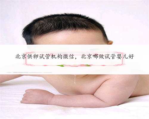 北京供卵试管机构微信，北京哪做试管婴儿好
